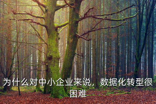 為什么對(duì)中小企業(yè)來(lái)說(shuō)，數(shù)據(jù)化轉(zhuǎn)型很困難