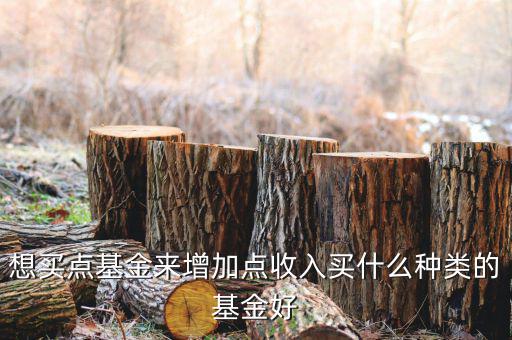 想買(mǎi)點(diǎn)基金來(lái)增加點(diǎn)收入買(mǎi)什么種類(lèi)的基金好