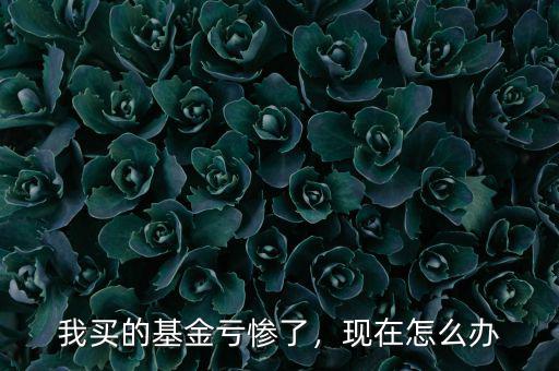 我買的基金虧慘了，現(xiàn)在怎么辦