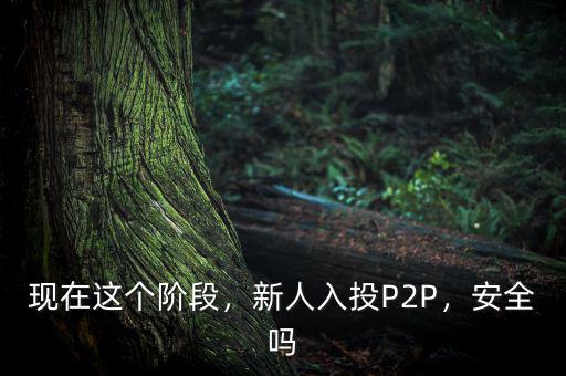 現(xiàn)在這個(gè)階段，新人入投P2P，安全嗎