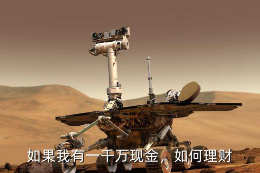 如果我有一千萬現(xiàn)金，如何理財(cái)