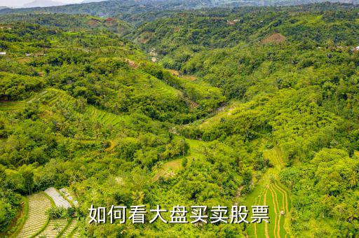 如何看大盤(pán)買(mǎi)賣(mài)股票