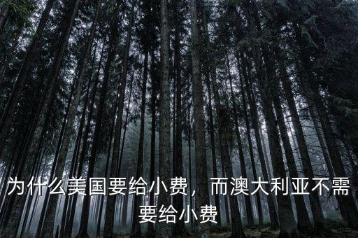 為什么美國要給小費(fèi)，而澳大利亞不需要給小費(fèi)