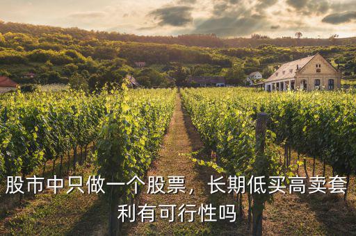 股市中只做一個股票，長期低買高賣套利有可行性嗎