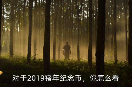 對于2019豬年紀(jì)念幣，你怎么看