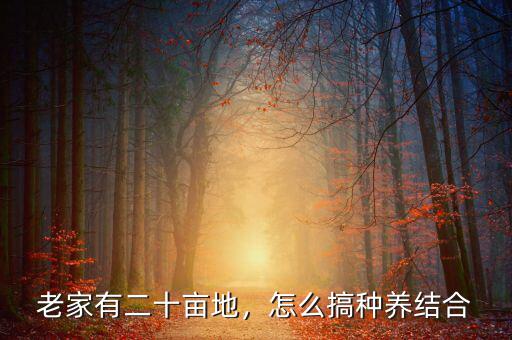 二十畝地怎么規(guī)劃,打算回農村租二十畝地