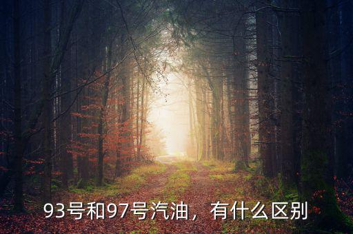 93號(hào)和97號(hào)汽油，有什么區(qū)別