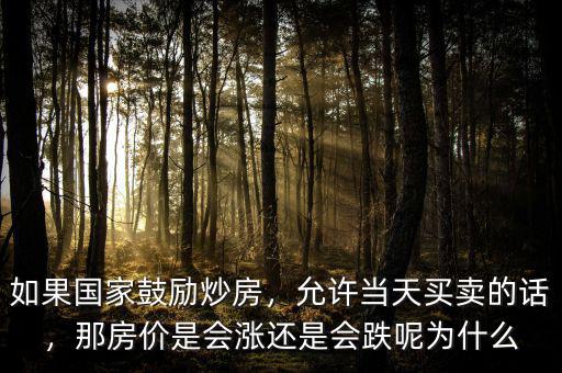 如果國家鼓勵炒房，允許當(dāng)天買賣的話，那房價是會漲還是會跌呢為什么