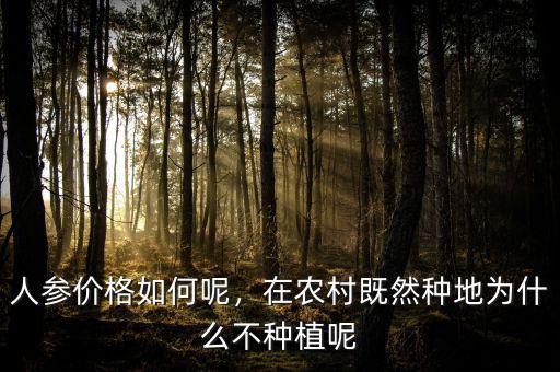 人參價(jià)格如何呢，在農(nóng)村既然種地為什么不種植呢