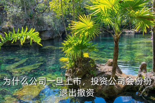 為什么公司一旦上市，投資公司會紛紛退出撤資