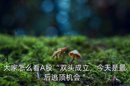 大家怎么看A股“雙頭成立，今天是最后逃頂機(jī)會＂