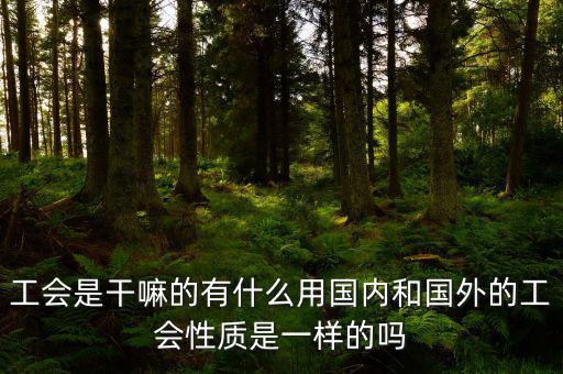 工會(huì)是干嘛的有什么用國(guó)內(nèi)和國(guó)外的工會(huì)性質(zhì)是一樣的嗎