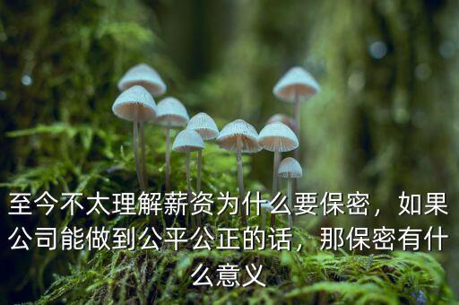 至今不太理解薪資為什么要保密，如果公司能做到公平公正的話，那保密有什么意義