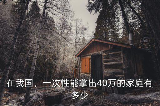 在我國(guó)，一次性能拿出40萬的家庭有多少