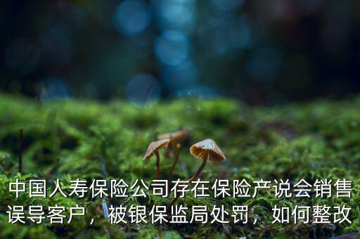 中國人壽保險公司存在保險產(chǎn)說會銷售誤導(dǎo)客戶，被銀保監(jiān)局處罰，如何整改