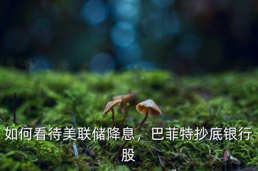 如何看待美聯(lián)儲降息，巴菲特抄底銀行股