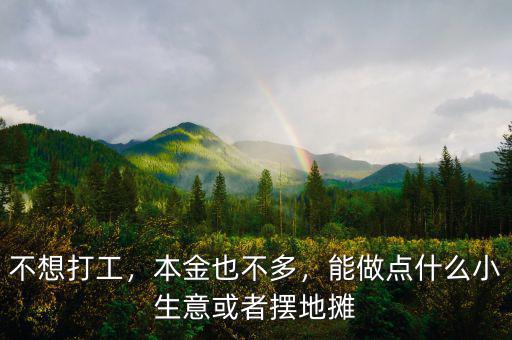 不想打工，本金也不多，能做點什么小生意或者擺地攤