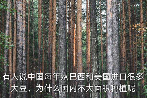 有人說中國每年從巴西和美國進口很多大豆，為什么國內(nèi)不大面積種植呢