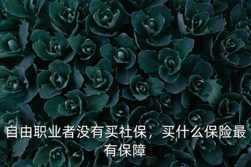 自由職業(yè)者沒有買社保，買什么保險最有保障