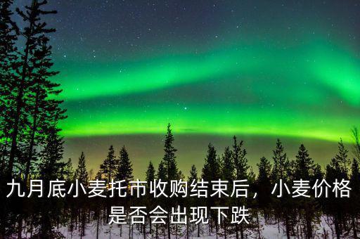 九月底小麥托市收購結(jié)束后，小麥價格是否會出現(xiàn)下跌