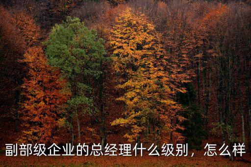 副部級企業(yè)的總經(jīng)理什么級別，怎么樣