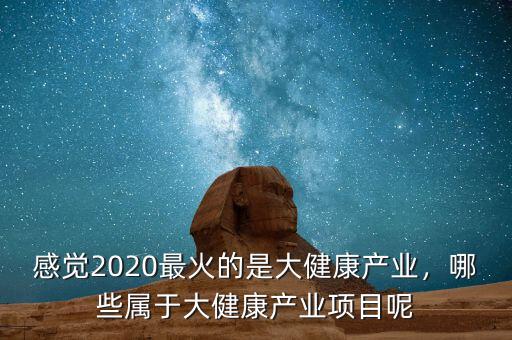感覺2020最火的是大健康產(chǎn)業(yè)，哪些屬于大健康產(chǎn)業(yè)項目呢