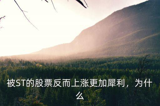 虎大版為什么暴漲,為什么大盤(pán)連續(xù)暴漲