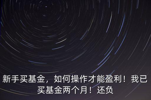新手買(mǎi)基金，如何操作才能盈利！我已買(mǎi)基金兩個(gè)月！還負(fù)