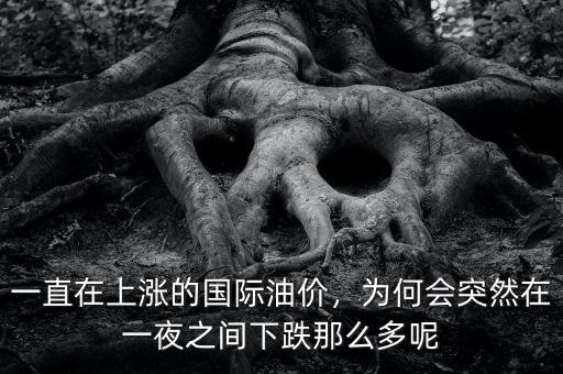 一直在上漲的國際油價，為何會突然在一夜之間下跌那么多呢