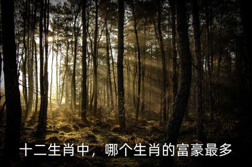 十二生肖中，哪個(gè)生肖的富豪最多