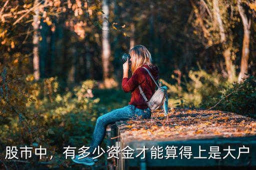 股市中，有多少資金才能算得上是大戶