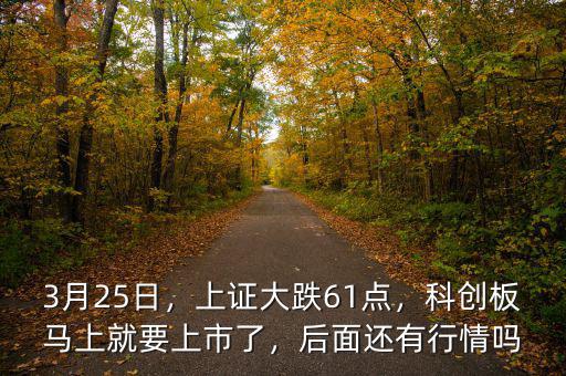 3月25日，上證大跌61點，科創(chuàng)板馬上就要上市了，后面還有行情嗎