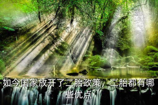 如今國家放開了二胎政策，二胎都有哪些優(yōu)點