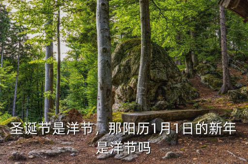 圣誕節(jié)是洋節(jié)，那陽(yáng)歷1月1日的新年是洋節(jié)嗎
