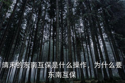 清末的東南互保是什么操作，為什么要東南互保