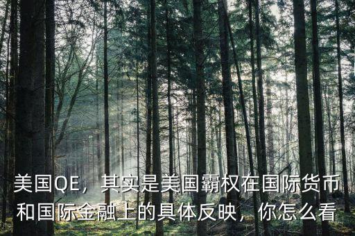 美國QE，其實是美國霸權(quán)在國際貨幣和國際金融上的具體反映，你怎么看