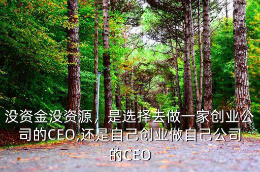 沒(méi)資金沒(méi)資源，是選擇去做一家創(chuàng)業(yè)公司的CEO,還是自己創(chuàng)業(yè)做自己公司的CEO