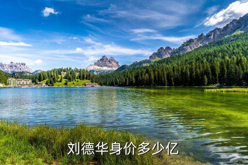 王濟武資產多少億,岳云鵬資產有多少億