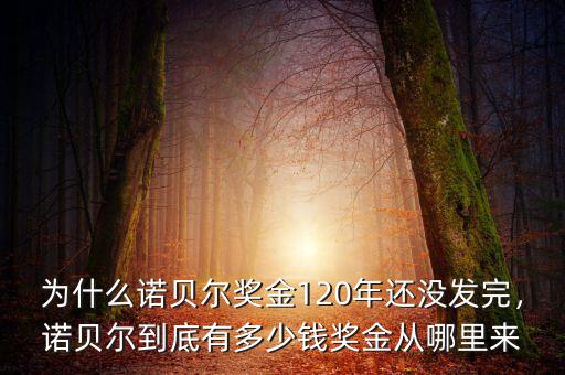 為什么諾貝爾獎金120年還沒發(fā)完，諾貝爾到底有多少錢獎金從哪里來