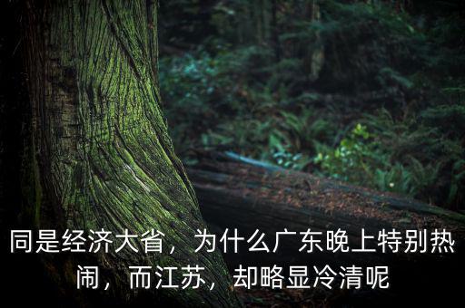 同是經(jīng)濟(jì)大省，為什么廣東晚上特別熱鬧，而江蘇，卻略顯冷清呢