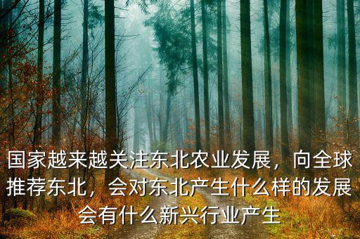 國(guó)家越來(lái)越關(guān)注東北農(nóng)業(yè)發(fā)展，向全球推薦東北，會(huì)對(duì)東北產(chǎn)生什么樣的發(fā)展會(huì)有什么新興行業(yè)產(chǎn)生