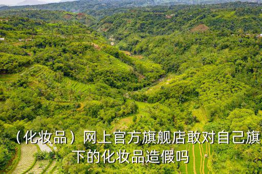 （化妝品）網上官方旗艦店敢對自己旗下的化妝品造假嗎