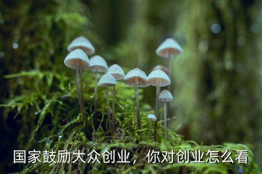 國(guó)家鼓勵(lì)大眾創(chuàng)業(yè)，你對(duì)創(chuàng)業(yè)怎么看