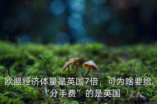 歐盟經(jīng)濟(jì)體量是英國(guó)7倍，可為啥要給“分手費(fèi)”的是英國(guó)