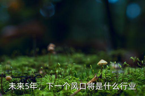 未來5年，下一個(gè)風(fēng)口將是什么行業(yè)
