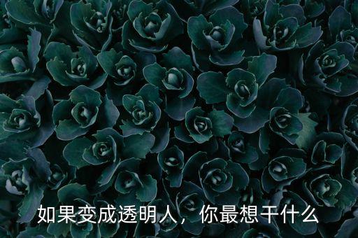 如果變成透明人，你最想干什么