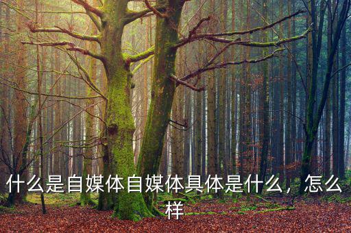 什么是自媒體自媒體具體是什么，怎么樣