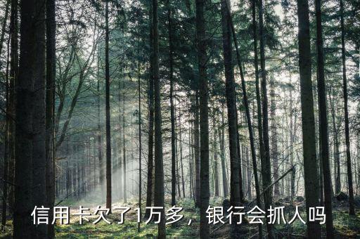 信用卡欠了1萬多，銀行會抓人嗎