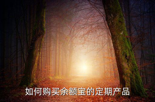 如何購買余額寶的定期產品