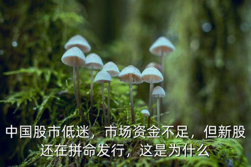 中國(guó)股市低迷，市場(chǎng)資金不足，但新股還在拼命發(fā)行，這是為什么